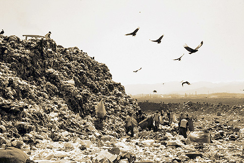 Foto: Banco de Imagens
