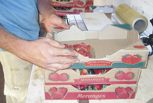 Foto: Scerj/Divulgação