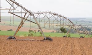IBGE prevê safra recorde de grãos sojagoias Tony Oliveira CNA Direitos Reservados