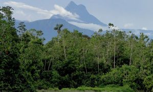 ICMBio determina reabertura de unidades de conservação federais pico da neblina Divulgação ECMBio