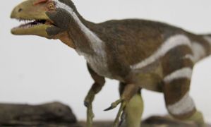 Pesquisadores apresentam fóssil de dinossauro encontrado no Ceará Divulgação Museu Nacional
