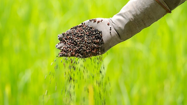 Plano Estadual de Fertilizantes é criado no Estado do Rio