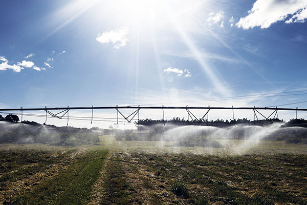 BNDES anuncia mais R$ 5,1 bilhões em Programas Agropecuários do Plano Safra 2023/2024