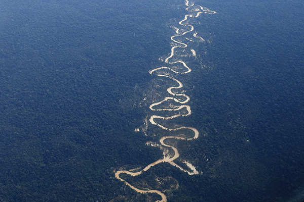 Foto: Banco de Imagens Noruega anuncia mais R$ 245 milhões para o Fundo Amazônia