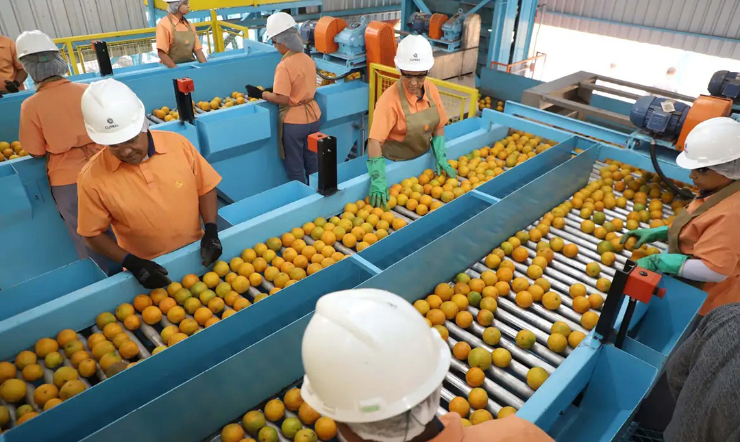 EUA divulgam lista de quase 700 produtos que não serão taxados