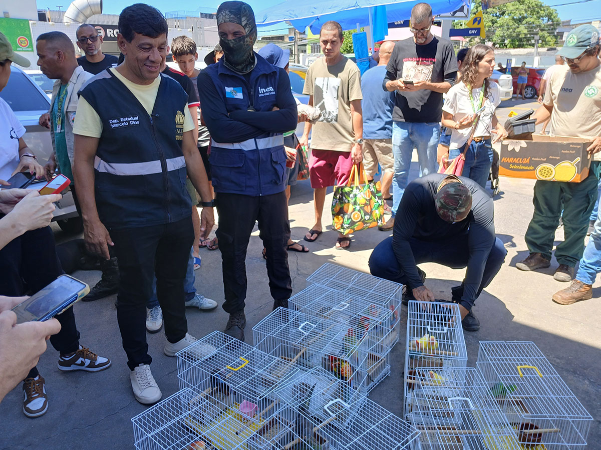 Foto: Divulgação Operação conjunta da Alerj, Inea, IBAMA e ICMBio termina com três presos